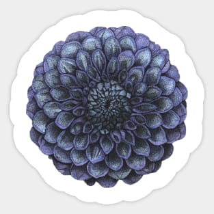 Blue and Purple Dahlia Flower Sticker